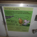 Стикеры в салоне маршрутки